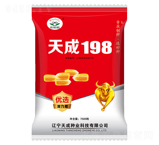 玉米種子-天成198-農哈哈-天成種業(yè)