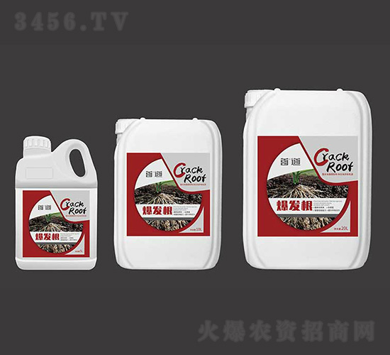 爆發(fā)根-首道農(nóng)業(yè)