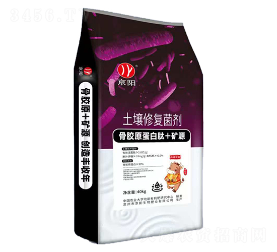 �����ޏ�(f��)����-���