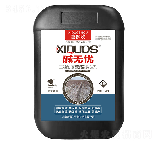 �����ቺ�A���}�{�턩-�A�o�n-�Z������