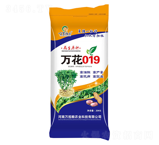 �f��019-�����N��-�f��(d��n)�Z