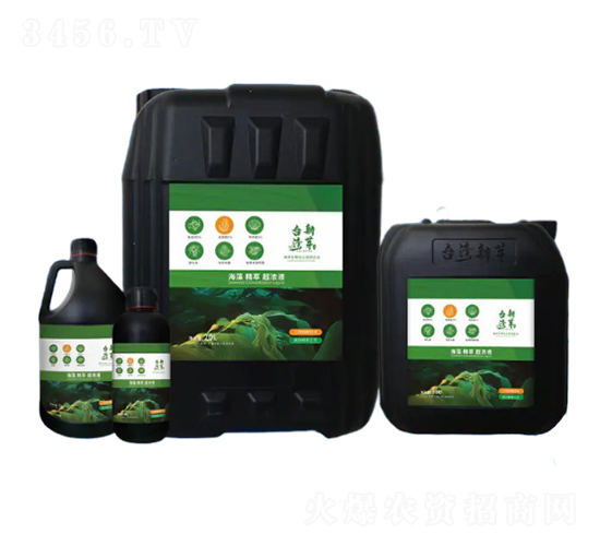 海藻精萃超濃液-恩正