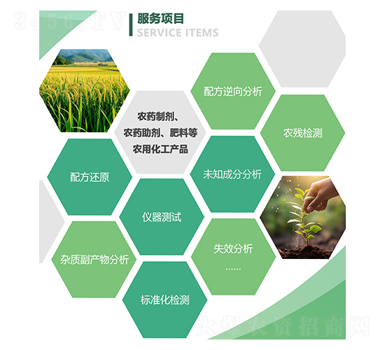 服務(wù)項目-新泊地