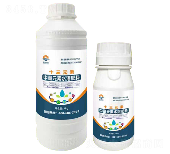 十三元素-奧睿施