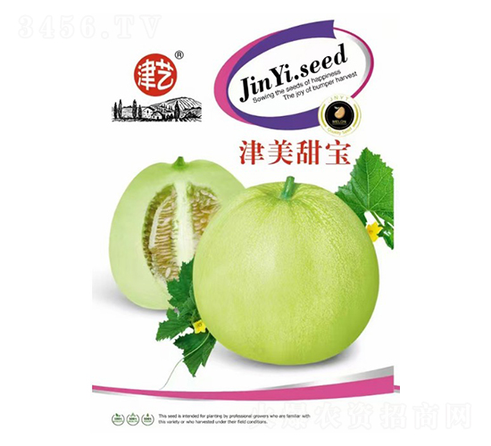 香瓜種子-津美甜寶-邯豐農(nóng)業(yè)