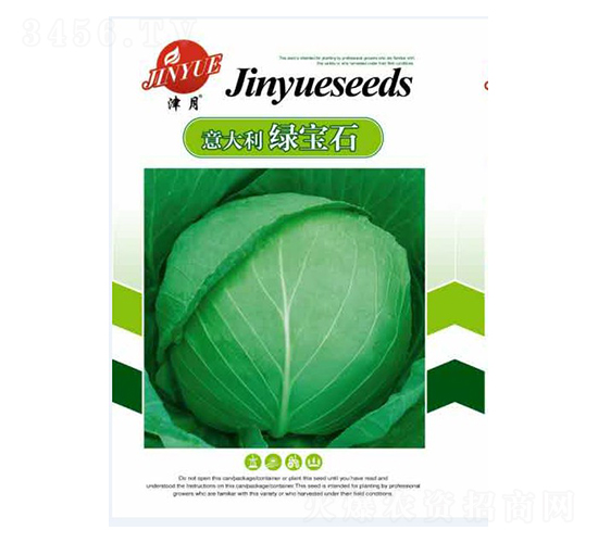 甘藍種子-意大利綠寶石-邯豐農業(yè)