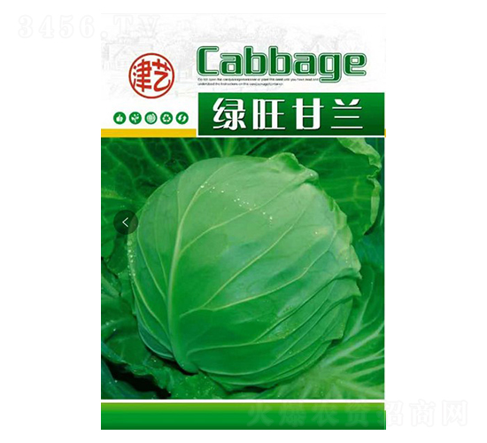 甘藍種子-綠旺甘藍-邯豐農業(yè)