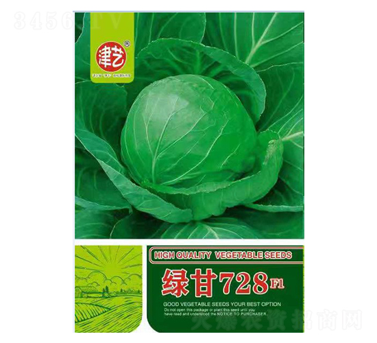 甘藍(lán)種子-綠甘728-邯豐農(nóng)業(yè)