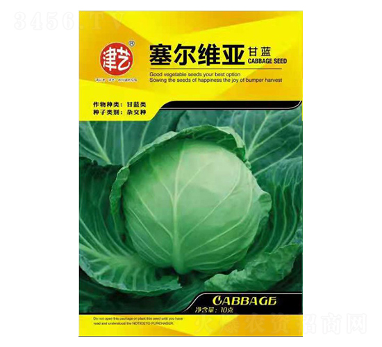 甘藍種子-賽爾維亞-邯豐農業(yè)