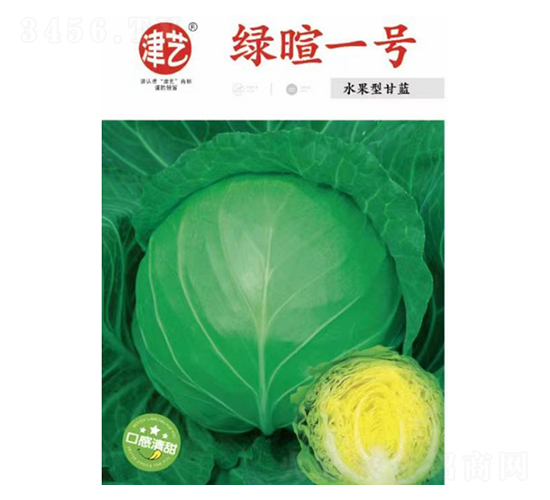 甘藍種子-綠暄一號-邯豐農(nóng)業(yè)
