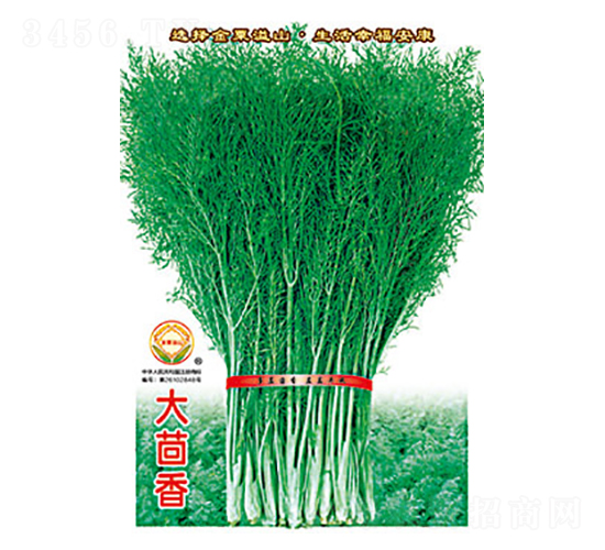 大茴香-太樂種業(yè)