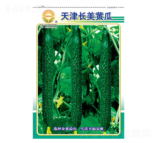 �S�ϷN��-����L(zh��ng)���S��-̫��(l��)�N�I(y��)