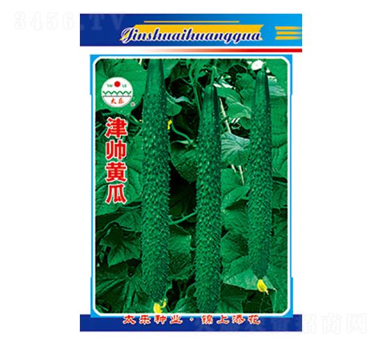 黃瓜種子-津帥黃瓜-太樂種業(yè)