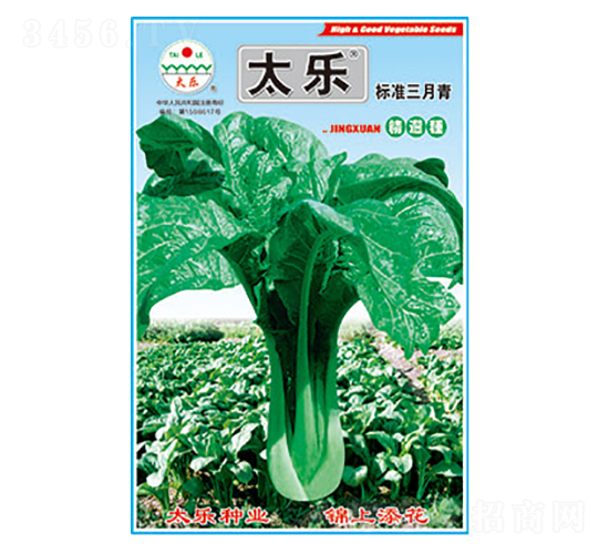 青菜種子-標(biāo)準(zhǔn)三月青-太樂(lè)種業(yè)