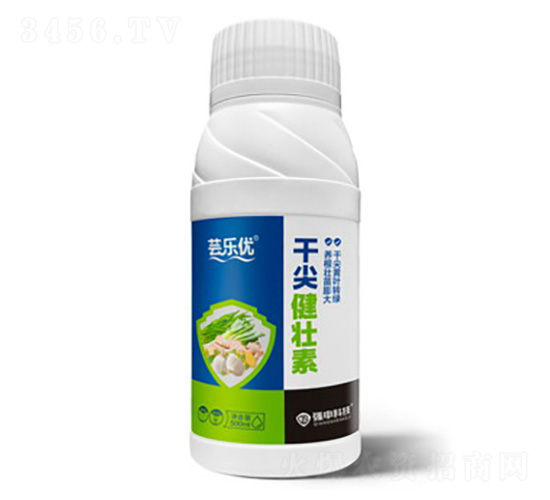 �ɼ⽡����-�|����(y��u)-����Ƽ�