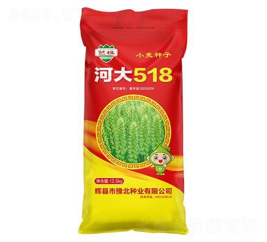 河大518小麥種子-藝株-豫北種業(yè)