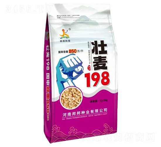 壯麥198小麥種子-邦邦科技