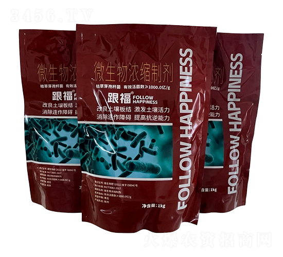 ΢�����s�Ƅ�-����-�̩