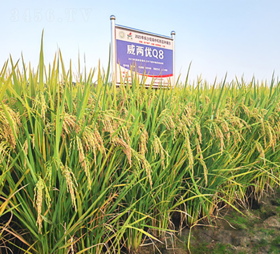 ���Ƀ�(y��u)Q8-ˮ���N��-�𽡷N�I(y��)