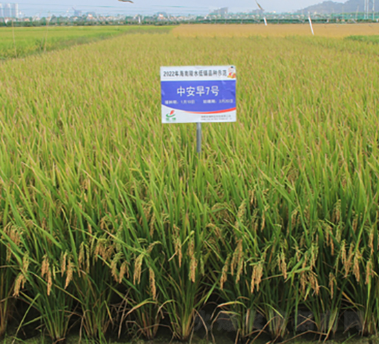 �а�7̖-ˮ���N��-�𽡷N�I(y��)