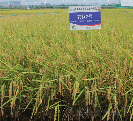 ����(y��u)2̖-ˮ���N��-�𽡷N�I(y��)