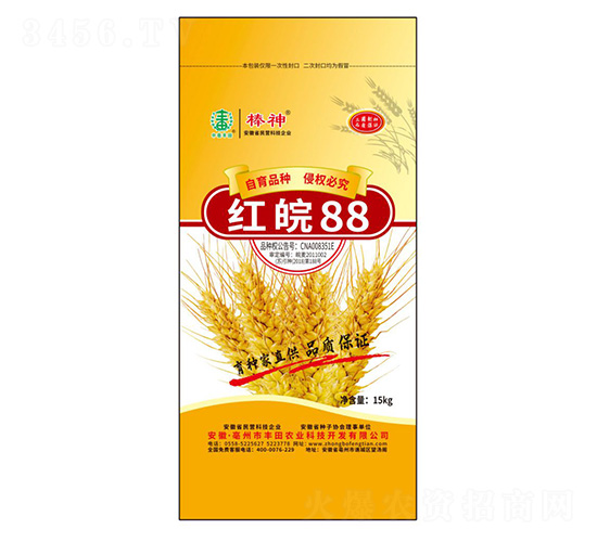 紅皖88小麥種子-豐田農業(yè)