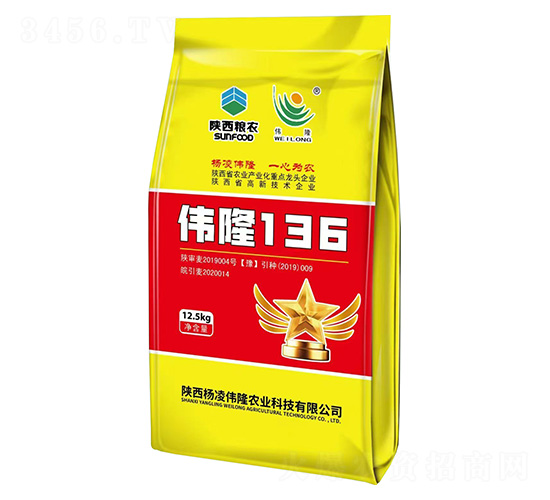偉隆136小麥種子-陜西糧農(nóng)-偉隆農(nóng)業(yè)