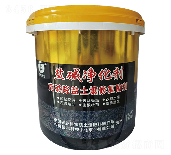 �}�A���������ˉA���}�����ޏ;�����-��΢���S