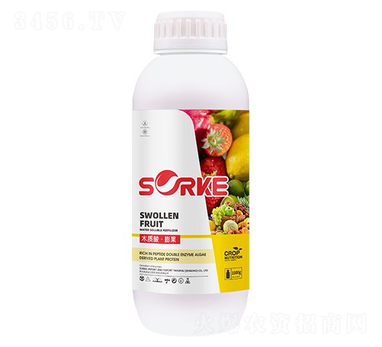 ľ�|(zh��)�ᡤ���-ʩ�ֿ�