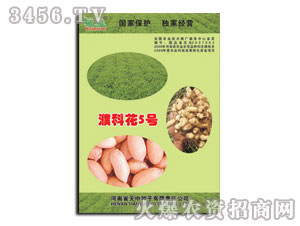 ����姿ƻ�5̖(h��o)-�����N��