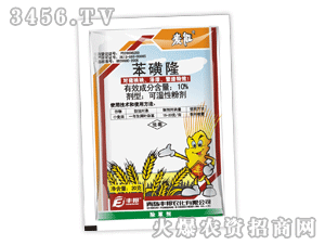 ����-����¡