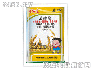 ������-����¡