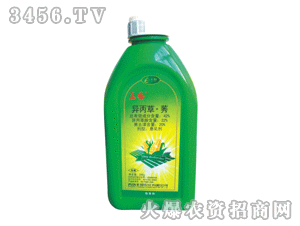 ����-������ݬ