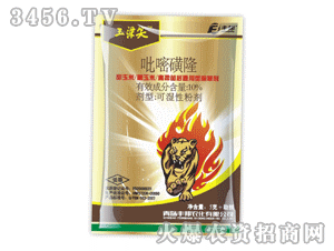 ����Ц-���׻�¡