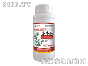 ������-�����w�