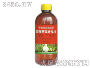 ̩�-���|����i���