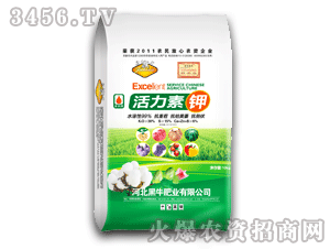 ��ţ-�������