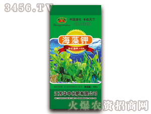 �A��-����-�����