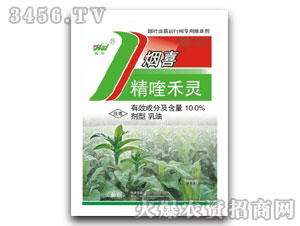 10.0%��୺��`-��ϲ