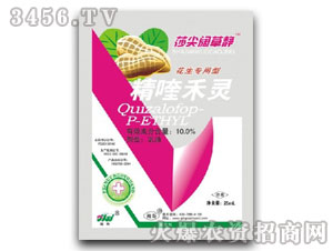 10.0%��୺��`�����������ͳ��݄���