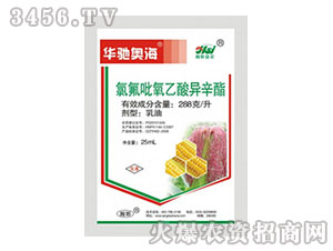 288��/���ȷ�������������-�A�Y�W��