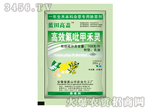 108克/升高效氟吡甲禾靈-藍田高蓋