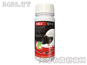 40%���SȲ���ؚ��x��-�����`-��Ѹ