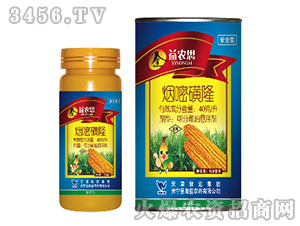 40��/�����׻�¡-���r˼-���{�rˎ