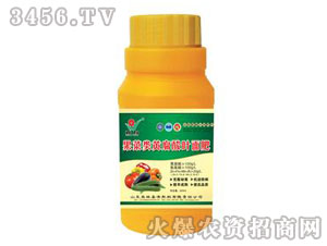 ������~��ʣ�ƿ�b��-����