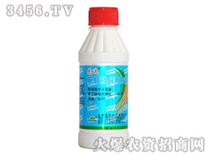 �ݸ�좮����@�}-���_-�G��