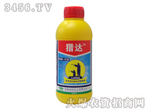 �ݸ��-�C�_-�G��