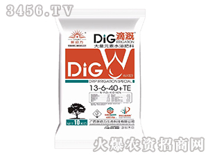 ����Ԫ��ˮ�ܷ���13-6-40+TE-����