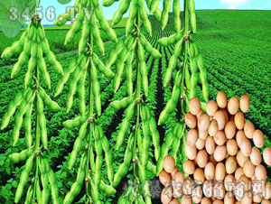 ����5156-��-�|�Ѻ�