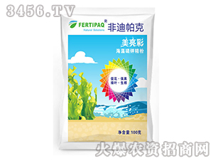 ������⛾���-������-�ǵ�����